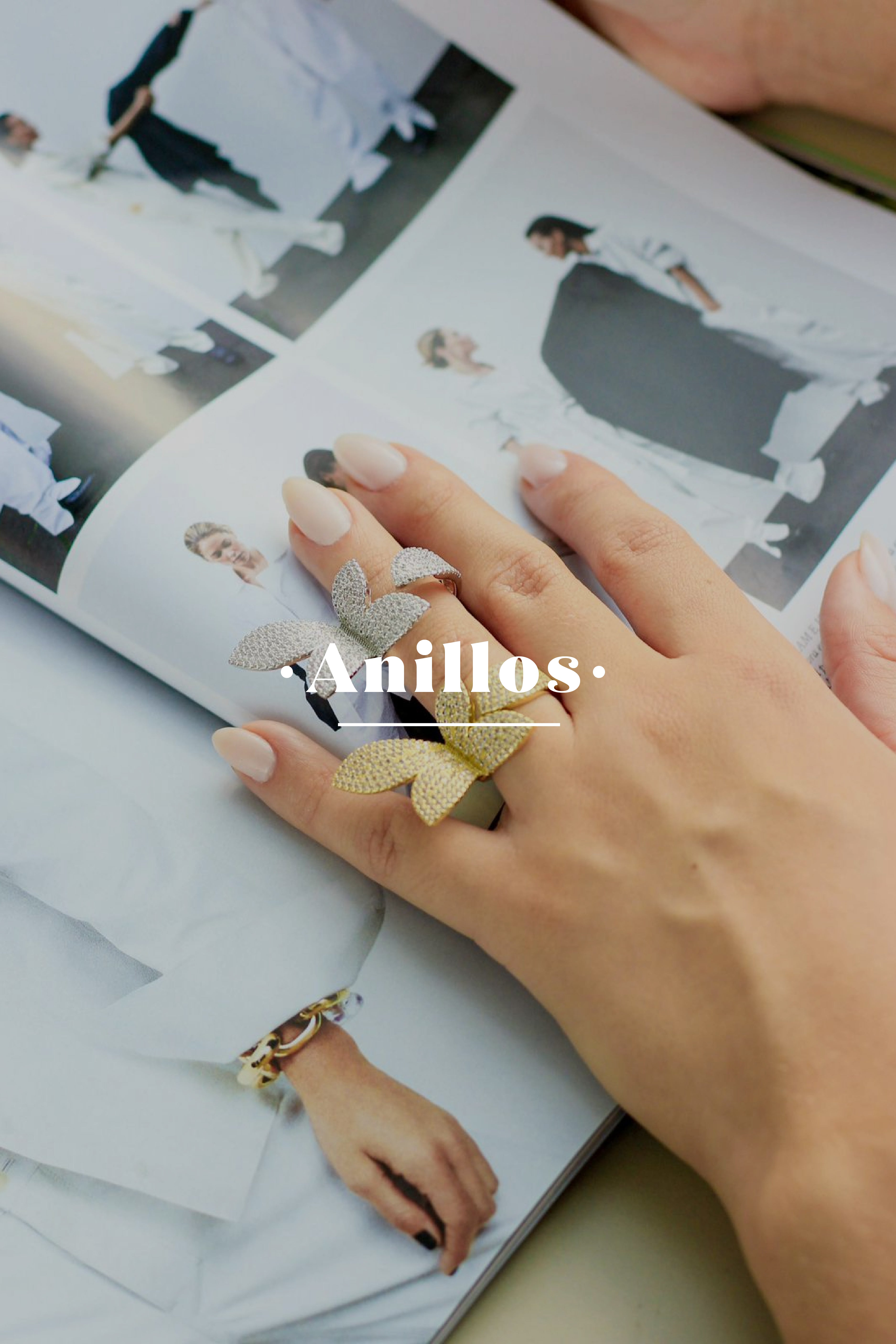 Anillos