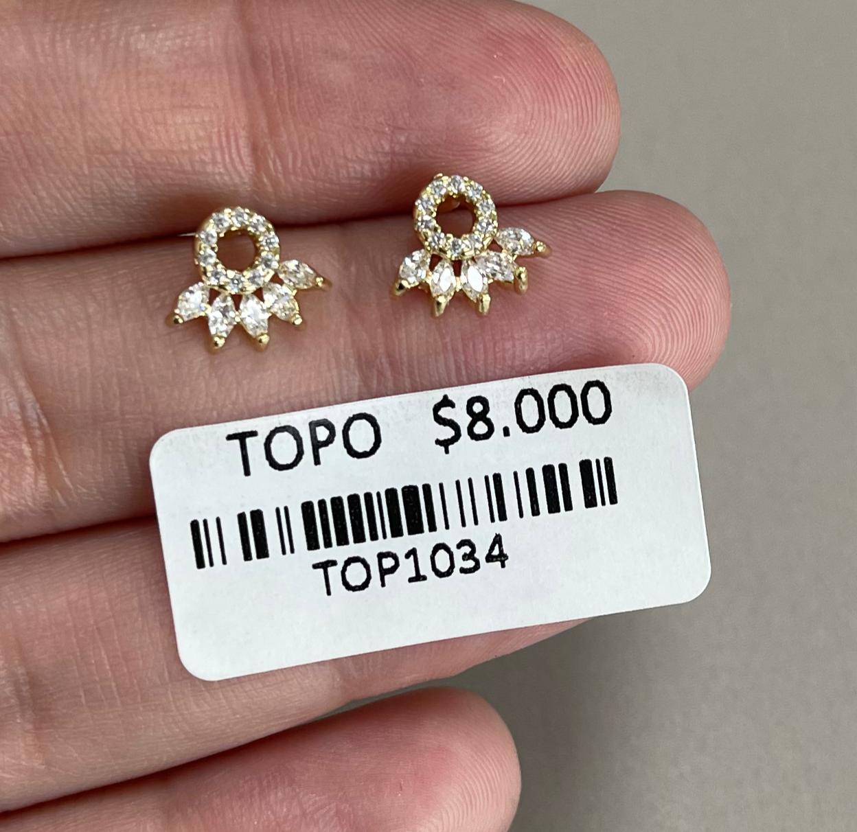 Aretes Topo Círculo con Franja de Cristales Marquesa